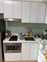 Eight Riversuites (D12), Condominium #523670481